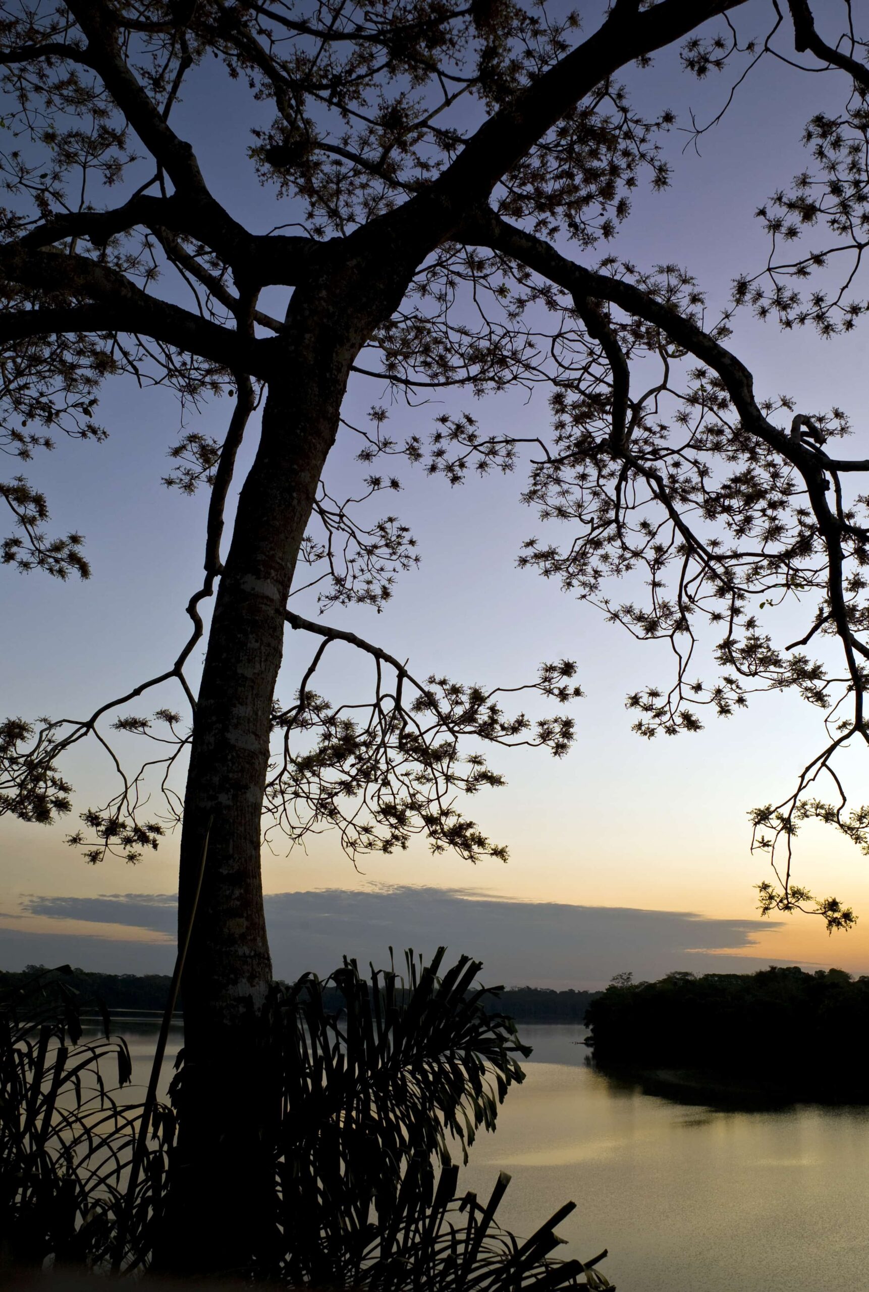 Learning to Love… Life
